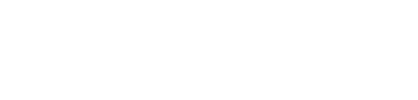 PROJEKTS_KS_logo_web_white